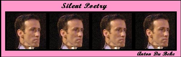 Silent Poetry Banner