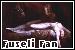 Henry Fuseli Fan Button